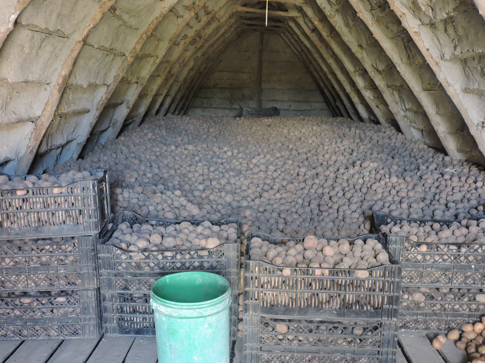 Irish Aid-funded low-cost potato storage facility