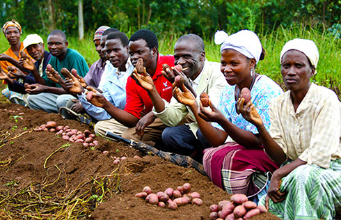 Potato farmers in Malawi gather in Bembeke Village