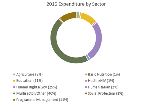 2016 Expenditure by Sector